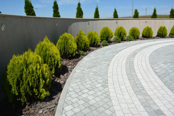 Driveway Repair Near Me in Chrisman, IL